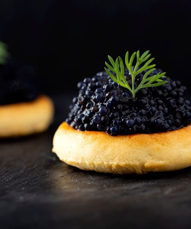 Catering in Monaco for Weddings, Birthdays, Gala Evenings - Catering in Monaco